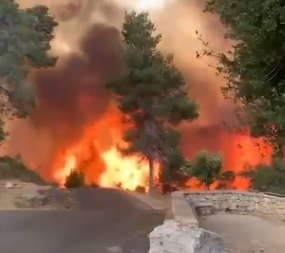 BUKTI POŽAR, LJUDI ZAROBLJENI! Proglašeno vanredno stanje u Jerusalimu, angažovana i vojska (VIDEO)
