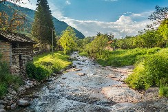 Celo domaćinstvo u lepom srpskom selu za 15.000 evra: Evo šta sve dobija novi vlasnik i gde se nalaze kuće