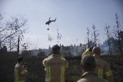 UHAPŠENO 18 OSUMNJIČENIH ZA IZAZIVANJE POŽARA U JERUSALIMU Netanjahu: "Jedna osoba je uhvaćena na delu"