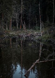 MEŠTANI SELA KOD ŠAPCA NA NOGAMA! Stari strah se vratio, nakon kiše u blatu zatekli nešto što ih je sledilo (FOTO)