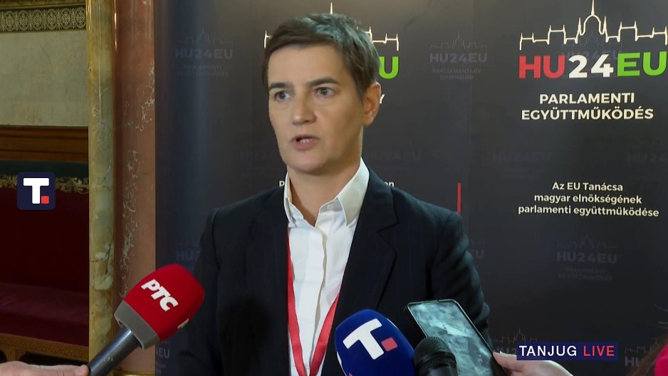 Brnabić: U narednih 10 dana medijski zakoni u Skupštini, značajan uslov za klaster 3