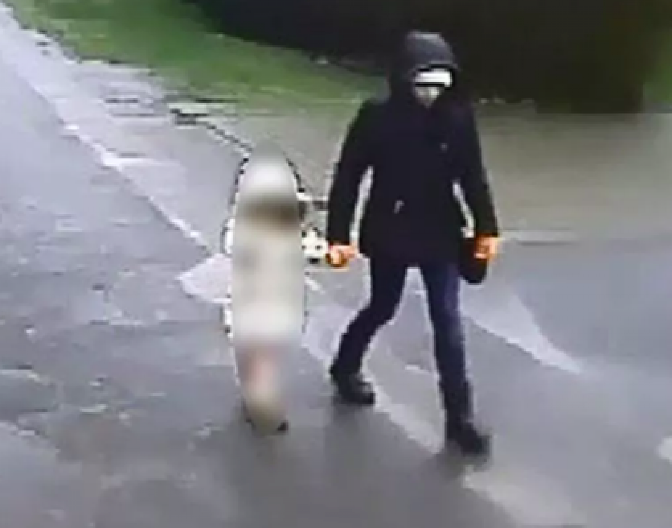 "MAMA SE NEĆE VRATITI" Otkrivene poslednje reči majke koju je bivši muž izbo pred ćerkom (FOTO)