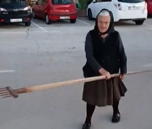 AJKULA NASRĆE, BAKA VADI TROZUBAC ‘Beži od moje zveri!’: Drama na Jadranu snimljena uživo! (VIDEO)