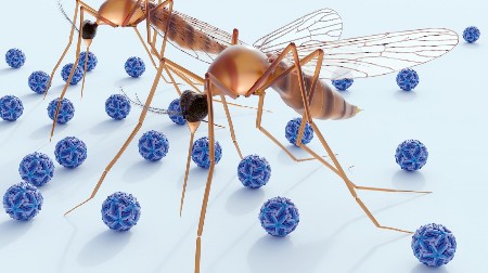 SMRTONOSNI VIRUS SE ŠIRI EVROPOM! Stručnjaci izdali alarmantno upozorenje!