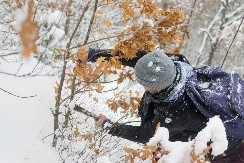 VEROVANJA ZA BADNJE JUTRO Evo šta treba izgovoriti i kako se ponašati
