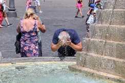 POSMATRALI SU I UČILI OD LJUDI! Ove ptice postaju sve pametnije od 2018. godine, počele su da nas imitiraju! Naučnici u šoku!