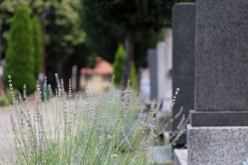 VAŽNO OBAVEŠTENJE ZA POSETIOCE GROBALJA NA ZADUŠNICE