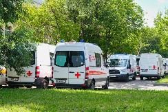 NJEGOV UBOD JE IZUZETNO OPASAN Evo šta prvo treba uraditi ako vas ujede stršljen, kako bi spasili život i kad pomaže sok od "3 trave"