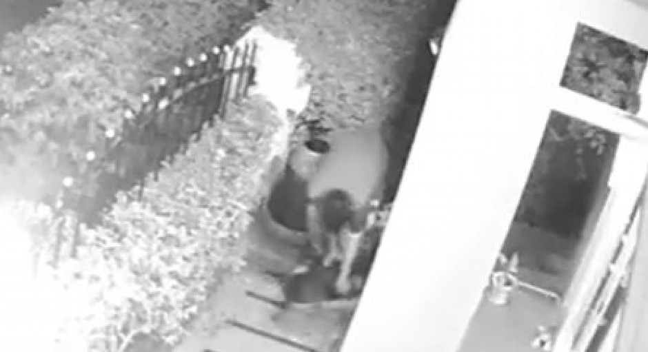 JEZIV NAPAD U SRED BELA DANA Piton ščepao mačku, počeo da joj lomi kosti – a onda je usledio filmski preokret! (VIDEO)