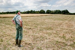 AFRIČKI PAKAO STIŽE U SRBIJU! Termometar puca, lekari apeluju: „Ne izlazite napolje!“