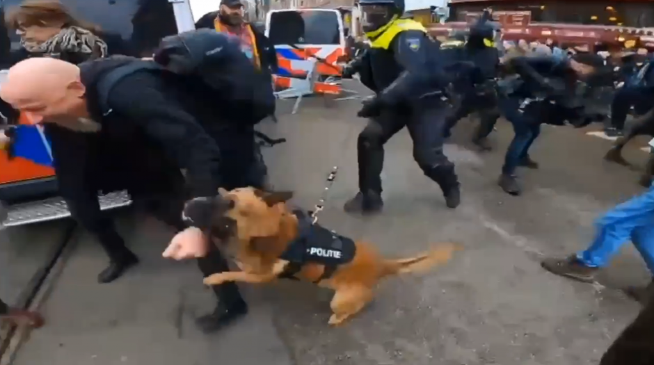 OVAKO SE POSTUPA SA BLOKADERIMA U NAJRAZVIJENIJIM ZEMLJAMA EVROPE! Policija brutalna, ne dozvoljava maltretiranje građana (VIDEO)