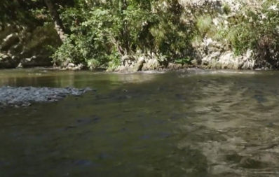 KUPAČI JEDVA DOČEKALI! Kreće sezona kupanja u gradu na Đetinji! (FOTO)
