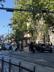 NARODE, OVI VAM SE SMEJU U LICE! Blokaderi na Slaviji SEDE na pešačkom i šetaju pse, ovo nema NIGDE (VIDEO)