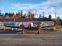 VIC DANA Leteli avionom meda zeka i lav, odjednom avion počne da pada...