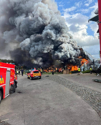 IZGORELA BINA TUMOROVLENDA Stravičan prizor neposredno pred početak festivala! (VIDEO)