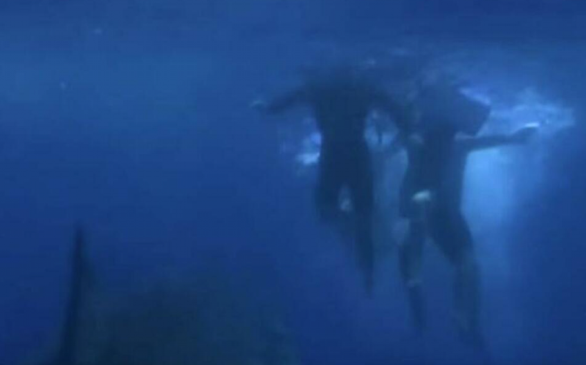 OTKRIVENA MORSKA ALA OD 750 KG! Primećena kod poznatog primorskog grada