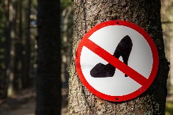 10 NAJČUDNIJIH LOKALNIH ZAKONA NA SVETU Ako kradete kamenčiće sa plaže, hranite golubove ili se žalite konobaru - platićete paprenu kaznu