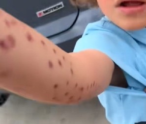 NEVIĐENA DRAMA U AKVARIJUMU Divlja zver zgrabila dete za ruku, majka vrištala od užasa – osoblje samo posmatralo! (VIDEO)