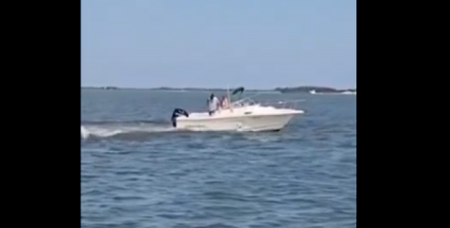 KAMERA ZABELEŽILA KAKO JE NESREĆNA ŽIVOTINJA UGINULA Kit se sudario sa čamcem u SAD (VIDEO)