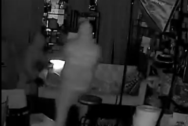 POMAMA JE OTIŠLA KORAK DALJE Lopovi opljačkali Labubu prodavnicu (VIDEO)