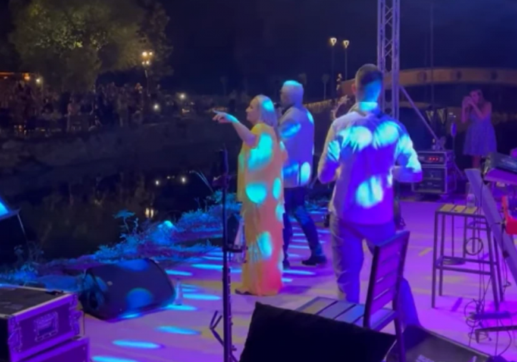 NE SLUŠA UPOZORENJE LEKARA Vesna Zmijanac održala koncert, a pre samo nekoliko dana je završila u bolnici