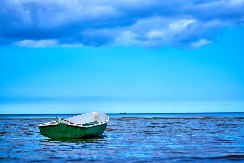 MUŠKARAC SE UTOPIO NAKON PADA IZ ČAMCA Telo pronađeno u blizini nasipa