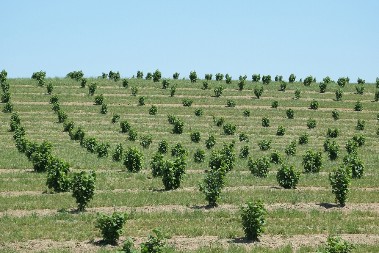 OVO JE POSAO KOJI MOŽE DA VAM DONOSE MILIONE U SRBIJI! Nije veliki ni ulog za početak