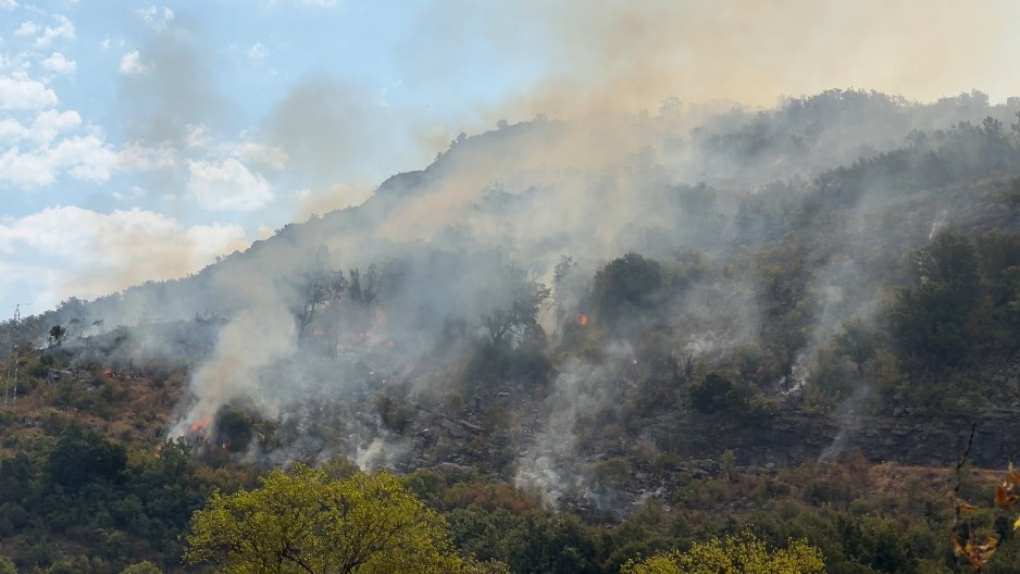 POŽAR POKOSIO BUDVU! Vatra guta brda, vatra se gasi iz vazduha