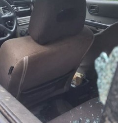 MEŠTANI TVRDE DA IH JE MEDVED GAĐAO KAMENOM Neviđen horor u Crnoj Gori, povređen čovek, pukom srećom izbegnuta tragedija