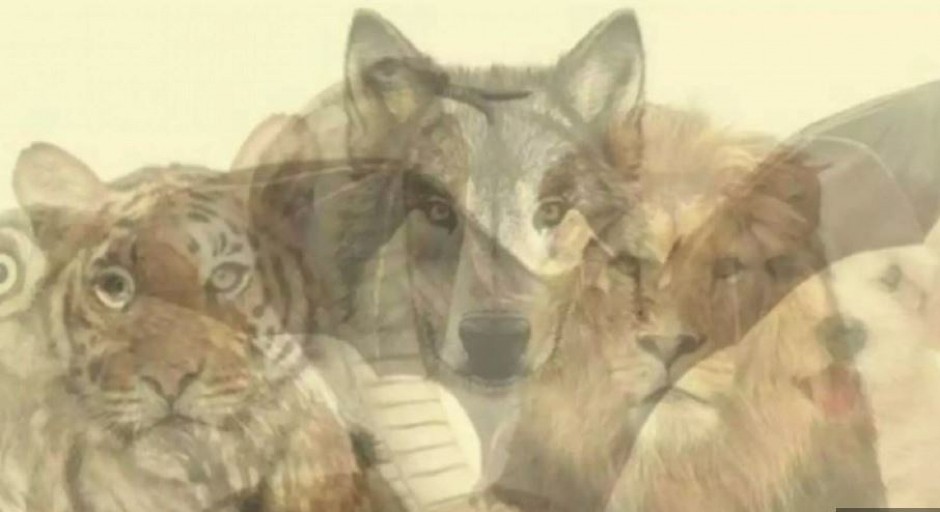 PSIHO TEST Koju životinju prvo vidite na slici, otkriva najdublju tajnu vaše ličnosti