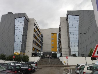 JEZIV UDES KOD NIŠA Povređene tri žene, najteže je prošla najmlađa kojoj je amputirana ruka