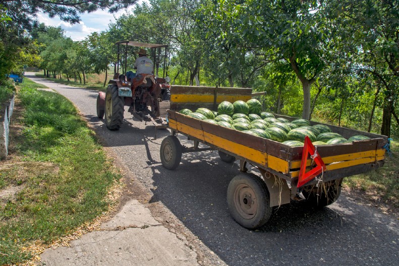 CRNOGORCI PONOVO NASMEJALI REGION Pogledajte kako prodaju lubenice, ovako nešto može samo kod nas