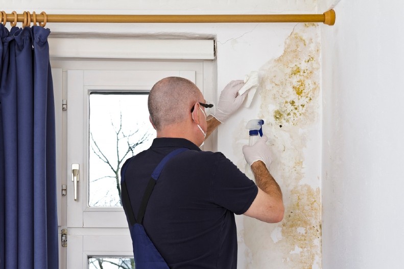 KAKO SE ZAUVEK REŠITI VLAGE I NEPRIJATNIH MIRISA Trik koji svaki moler zna, ali samo retki će vam reći