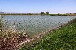 UŽAS U ZEMUNU  Iz Dunava izvučeno telo mlađeg muškarca