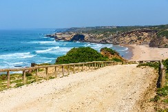 SURVALI SE NIZ LITICU DUBOKU 20 METARA Bokseru iz Srbije se lekari bore za život