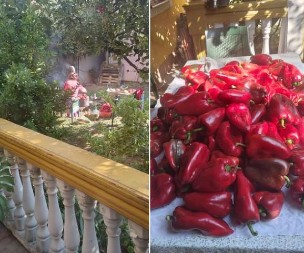 GENERACIJE SU GA OBOŽAVALE Otkrivamo kako se pravio makedonski ajvar koji osvaja sva čula