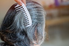 SVI POTRČE DA SE OFARBAJU U PLAVU, A TO NEMA VEZE SA VEZOM Koju boju treba da biraju žene sa sedom kosom, frizerka otkrila