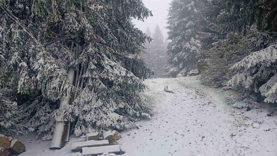 SKORO CELA SRBIJA U CRVENOM Radarski snimci nevremena, spremite se, sledi najjači udar
