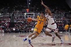 PITANJE KOJE SVE ZANIMA Alimpijević otkrio da li će Stojaković igrati za Srbiju