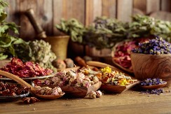 Magija zelenog sveta: Zašto je srpski seljak verovao da biljke leče, proriču sudbinu i prizivaju natprirodne sile