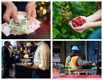 Niko neće da prlja ruke – mladi bi radije da sede u kancelariji