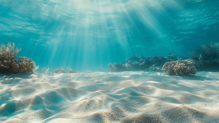 LJUDSKO OKO IH JOŠ NIJE VIDELO Neverovatno otkriće u Australiji - pronađene dve nove vrste morskih životinja  (FOTO)