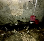 POLICIJSKI INSPEKTOR ODAVAO INFORMACIJE VRAČARCIMA Uhapšen sa saradnikom dok je kopao raku za žrtvu!