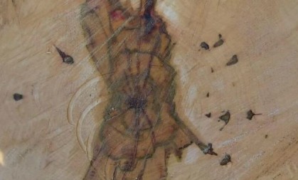 PREREZAO DRVO, PA SE ZAPANJIO Meštani ne pamte da se ikada desilo nešto slično