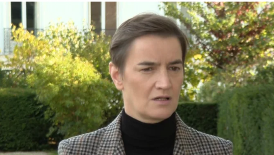 " NE POZIVA NA DIJALOG I SMIRIVANJE TENZIJA, POZIVA NA NASILJE" Ana Brnabić žestoko odgovorila Tadiću (FOTO)