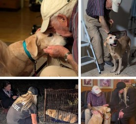 DIRLJIVO I URNEBESNO Starac (93) zahvaljujući smrdljivim čarapama pronašao svog psa