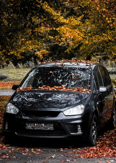 JESEN DONOSI SMRTNU ZAMKU! Vozači ne slute šta im vreba ispod točkova – ova pojava ubija kontrolu nad automobilom, reagujte na vreme!