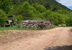 MUŠKARAC STRADAO DOK JE SEKAO DRVA Užas u Jagodini