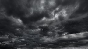 SNAŽNA OLUJA ZAHVATILA SRBIJU Oboreno drvo na auto-putu Novi Sad-Beograd, saobraćaj obustavljen