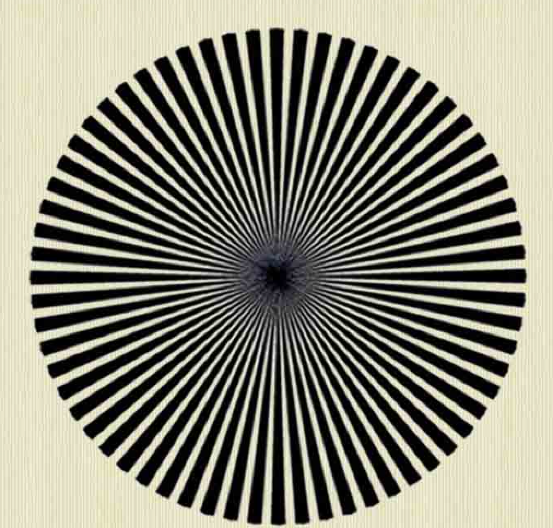 OPTIČKA ILUZIJA ZALUDELA LJUDE NA MREŽAMA Proverite svoju genijalnost - test nepogrešivo otkriva skrivene osobine i talente